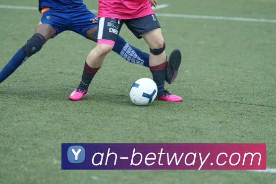 BETWAY必威官网平台生态图